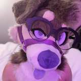 adcharliedoggo avatar