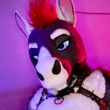 after_neigh avatar