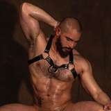 antoniohorland avatar