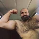 brbear avatar