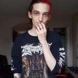 ceddii avatar