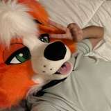 creamedsicle avatar
