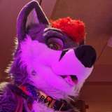 dalitefur avatar