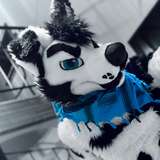 doubleaftertrouble avatar
