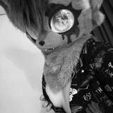 drewly_ad avatar