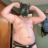 dumbfatdog avatar