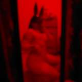 elicarb07 avatar