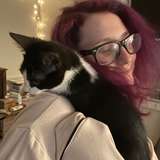 extraterrestrialkitten avatar