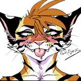 feral.tigress avatar
