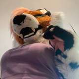 fox_anatomy_lite avatar