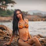 foxy.ts avatar