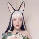 harearchy avatar