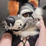 hellhoundxo avatar
