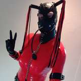 hoodedjune avatar