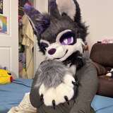 juniper_the_fox profile on onlyfans
