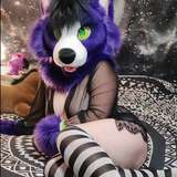 kamillashep avatar