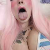 kittikatterz avatar