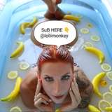 lollimonkey_free avatar