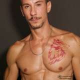 marcostarxxx avatar