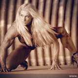 mjvikingqueen avatar