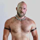 mrmusclebearx avatar