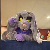 oliverthewabbit profile on onlyfans