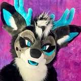 onlydeer avatar
