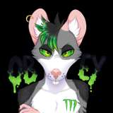 pitourikou avatar