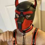 pyxis avatar