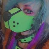 raeraefox profile on onlyfans