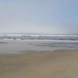 sdflrjfl avatar