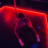 seductressvenuss avatar