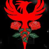 sexmetalphoenix_softcore avatar