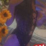 shaholl13 avatar