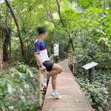 shinn_n_n avatar