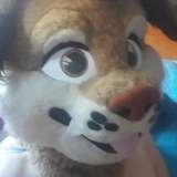smoresdogg avatar