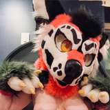 styradoggy2 avatar