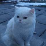 sweethoneybum avatar