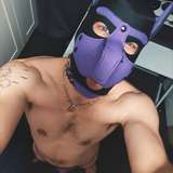 tekime avatar