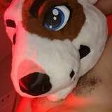 thebull_ad avatar