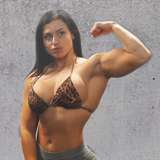themusclehustler avatar