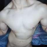 thetorboy avatar
