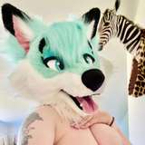thylasaurad avatar