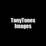 tonytones avatar