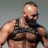 tylerrex avatar