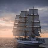 u48685037 avatar