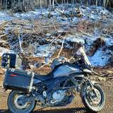 u96502119 avatar