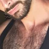 vinsrips avatar