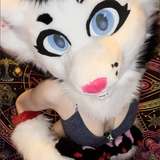 wildflowerfur avatar