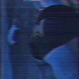 xxxctenophore avatar